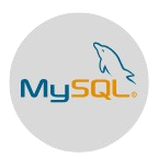 worldsoft Software Company is a provider of IT solutions,