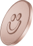 worldsoft Software Company is a provider of IT solutions,